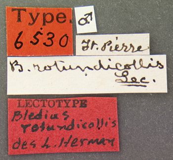 Media type: image;   Entomology 6530 Aspect: labels